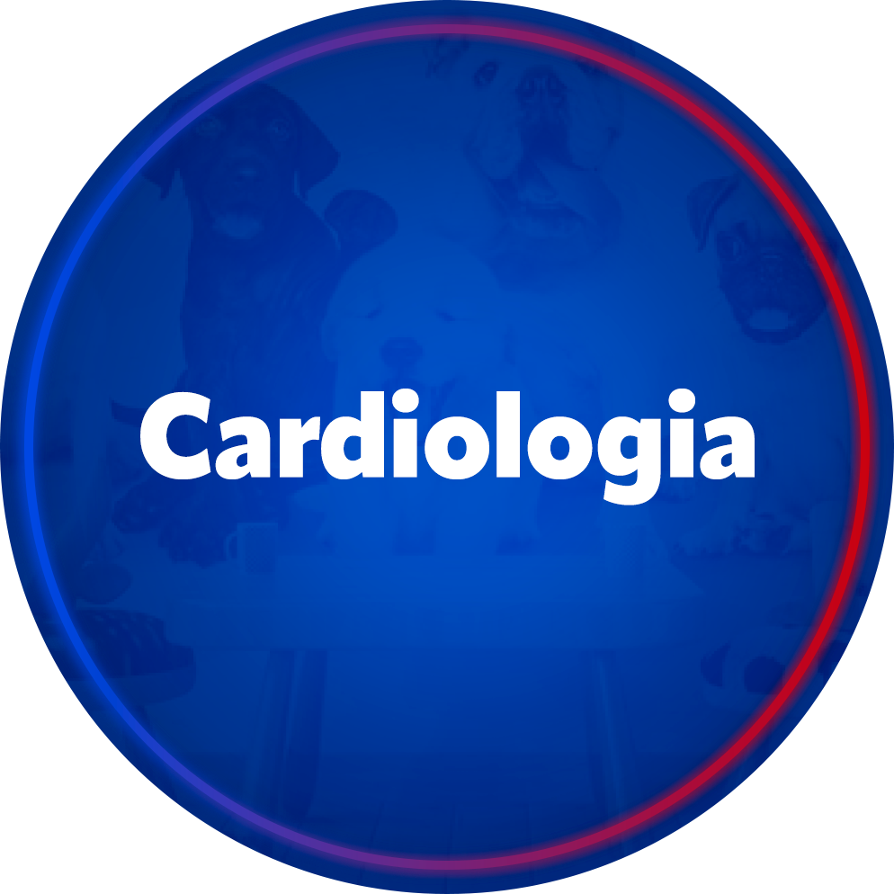 Cardiologia