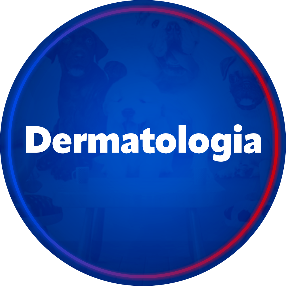 Dermatologia