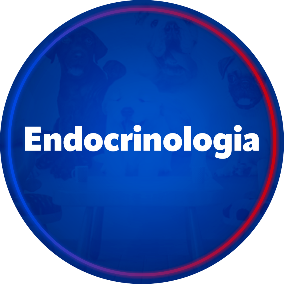 Endocrinologia