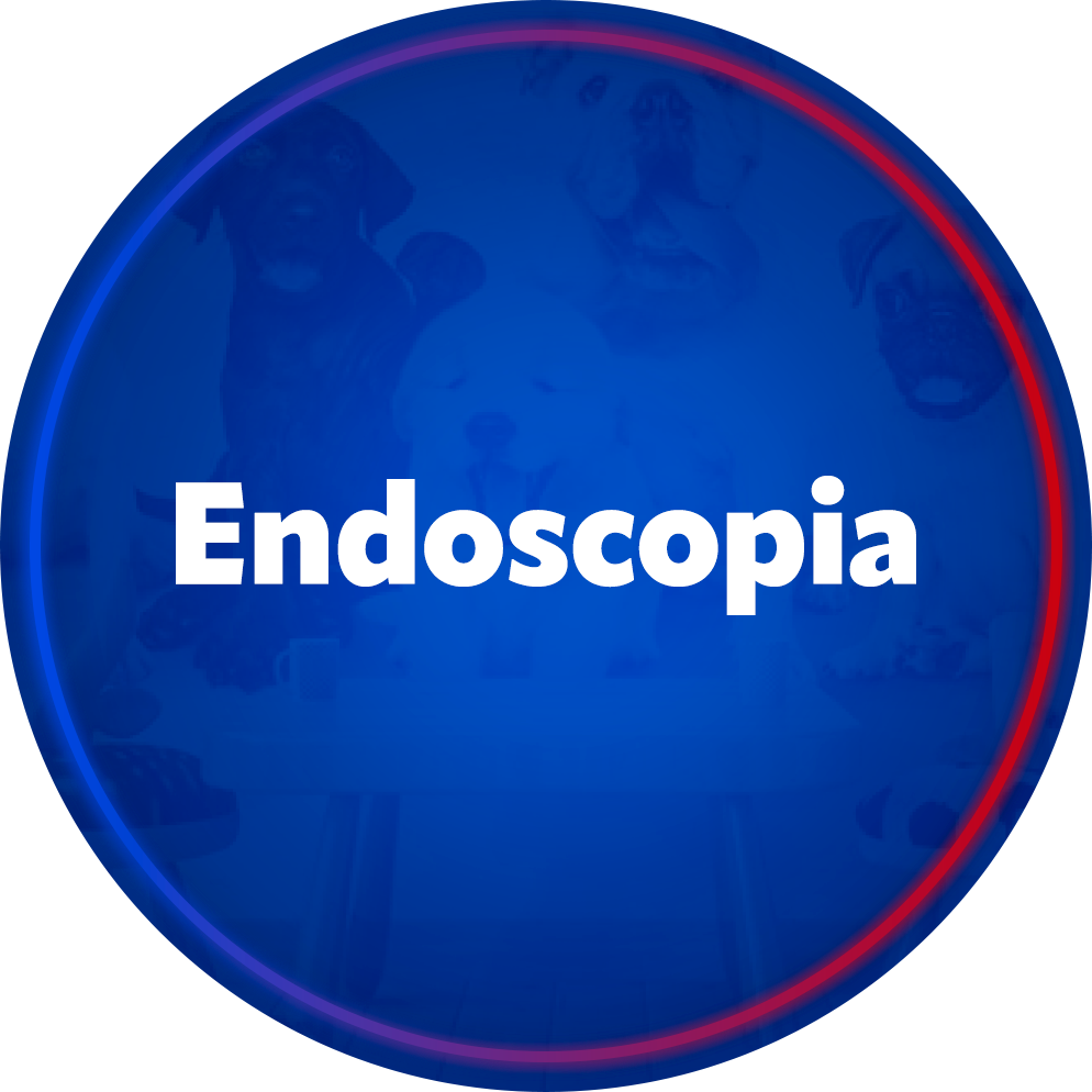 Endoscopia