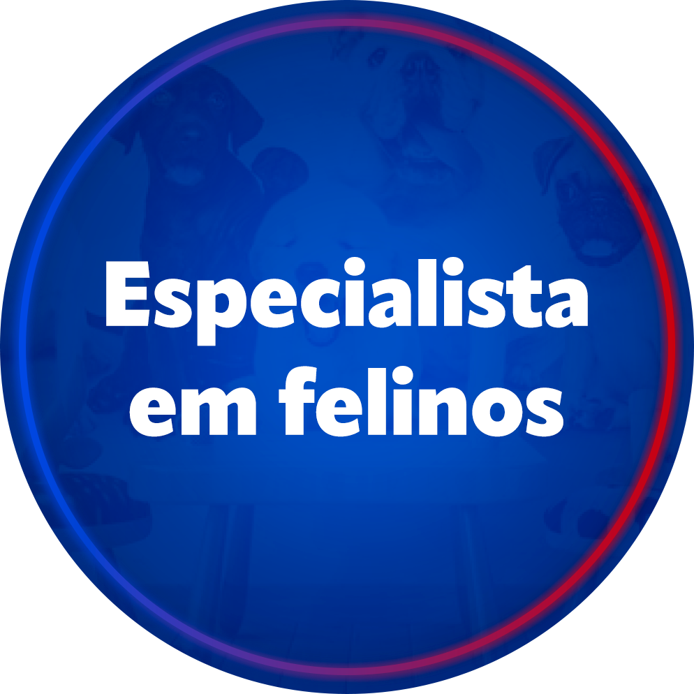 Especialista em felinos