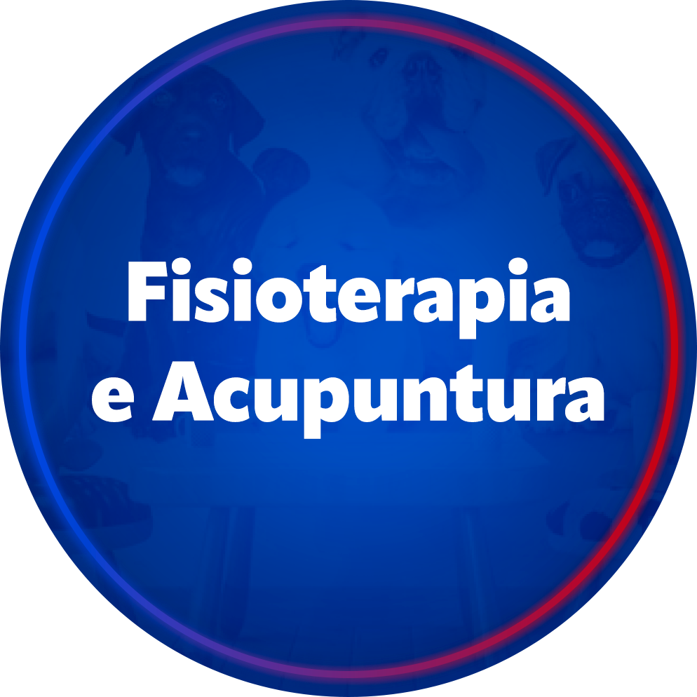 Fisioterapia e acupuntura