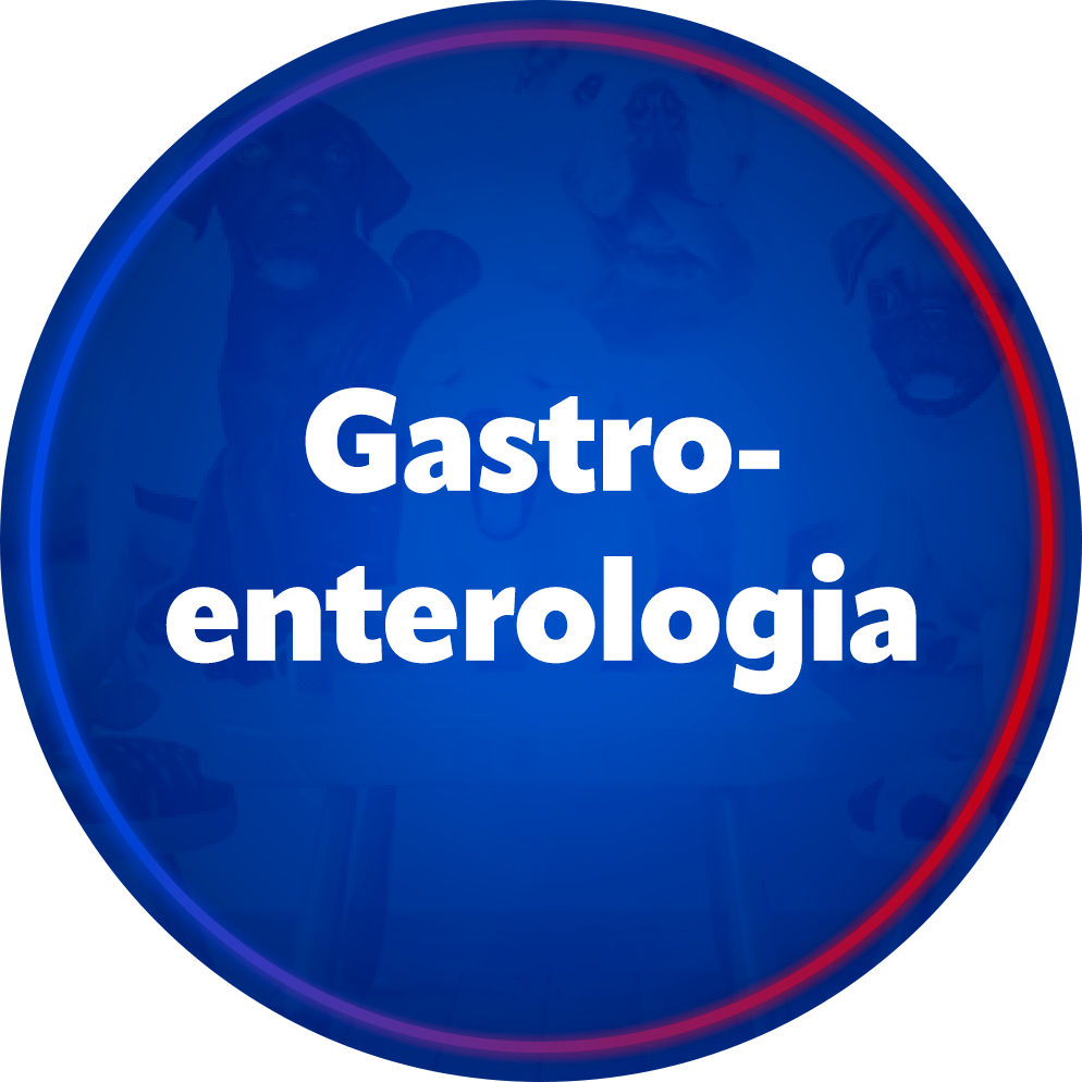 Gastroenterologia