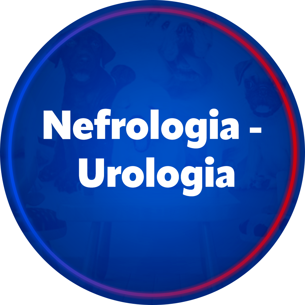 Nefrologia - Urologia