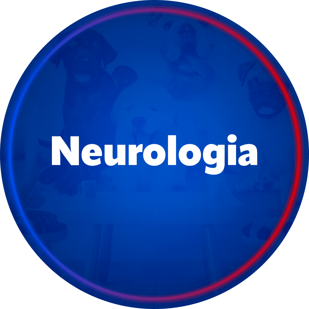 Neurologia
