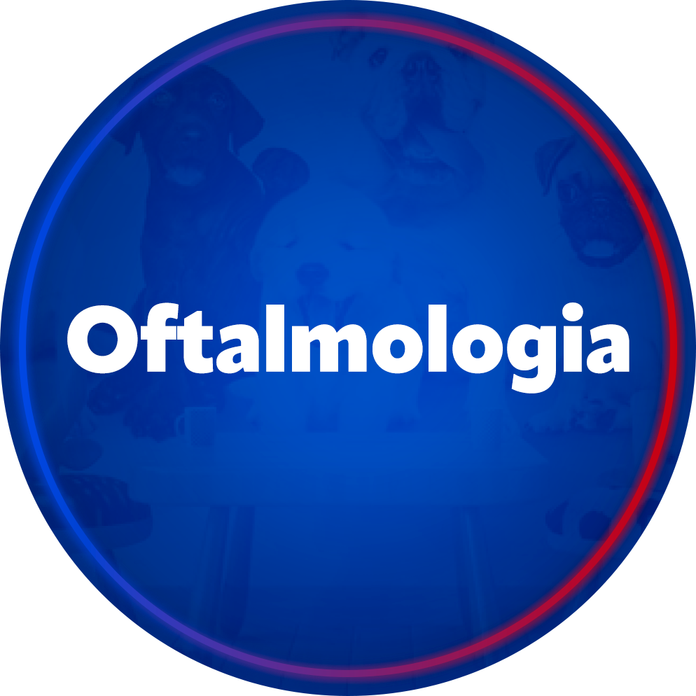 Oftalmologia