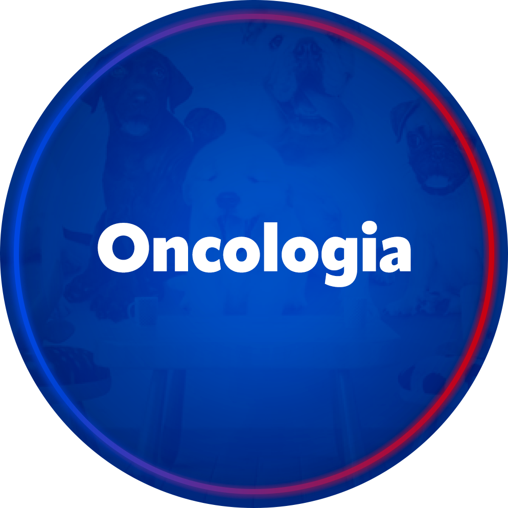 Oncologia