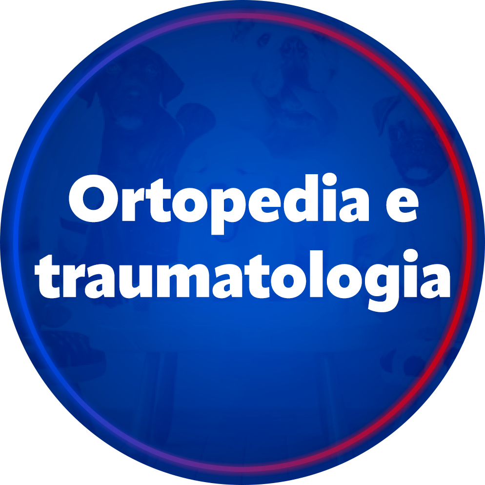 Ortopedia e traumatologia
