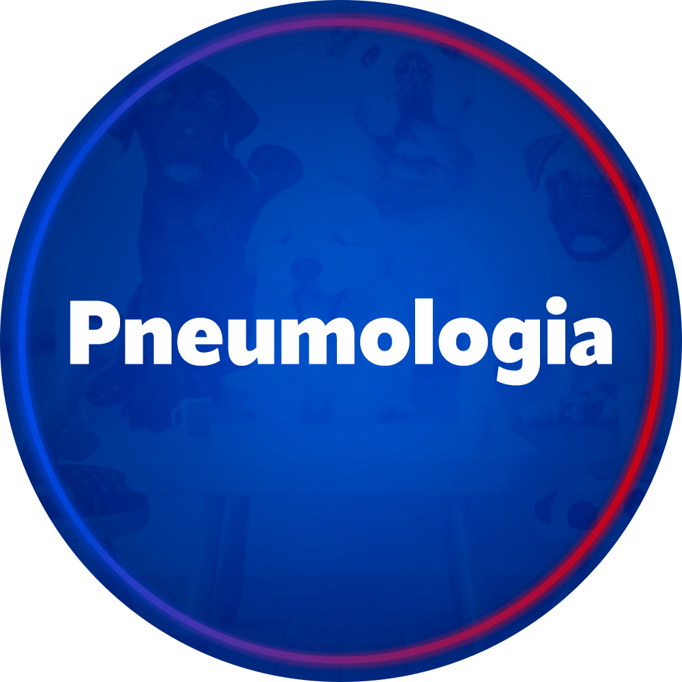 Pneumologia