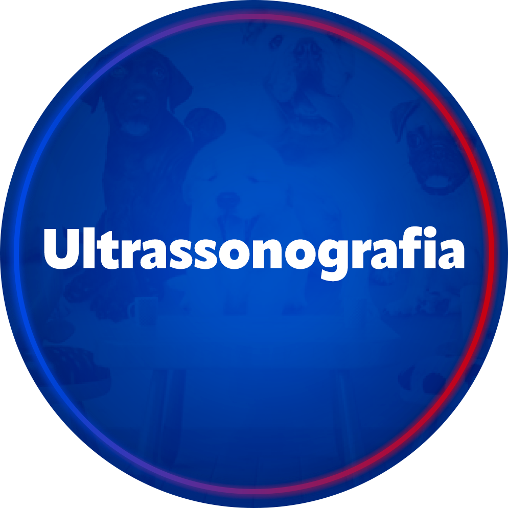 Ultrassonografia
