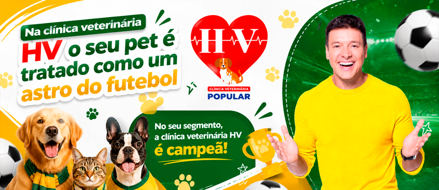Banner site - Copa do mundo